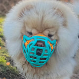 Pippa Muzzle