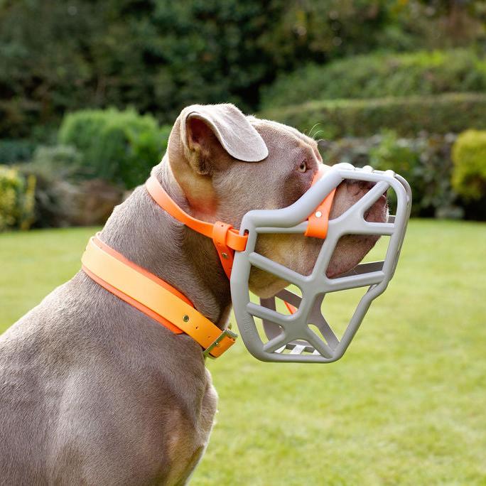 Mitzy Muzzle - Short & Wide Fit (Largest Size)