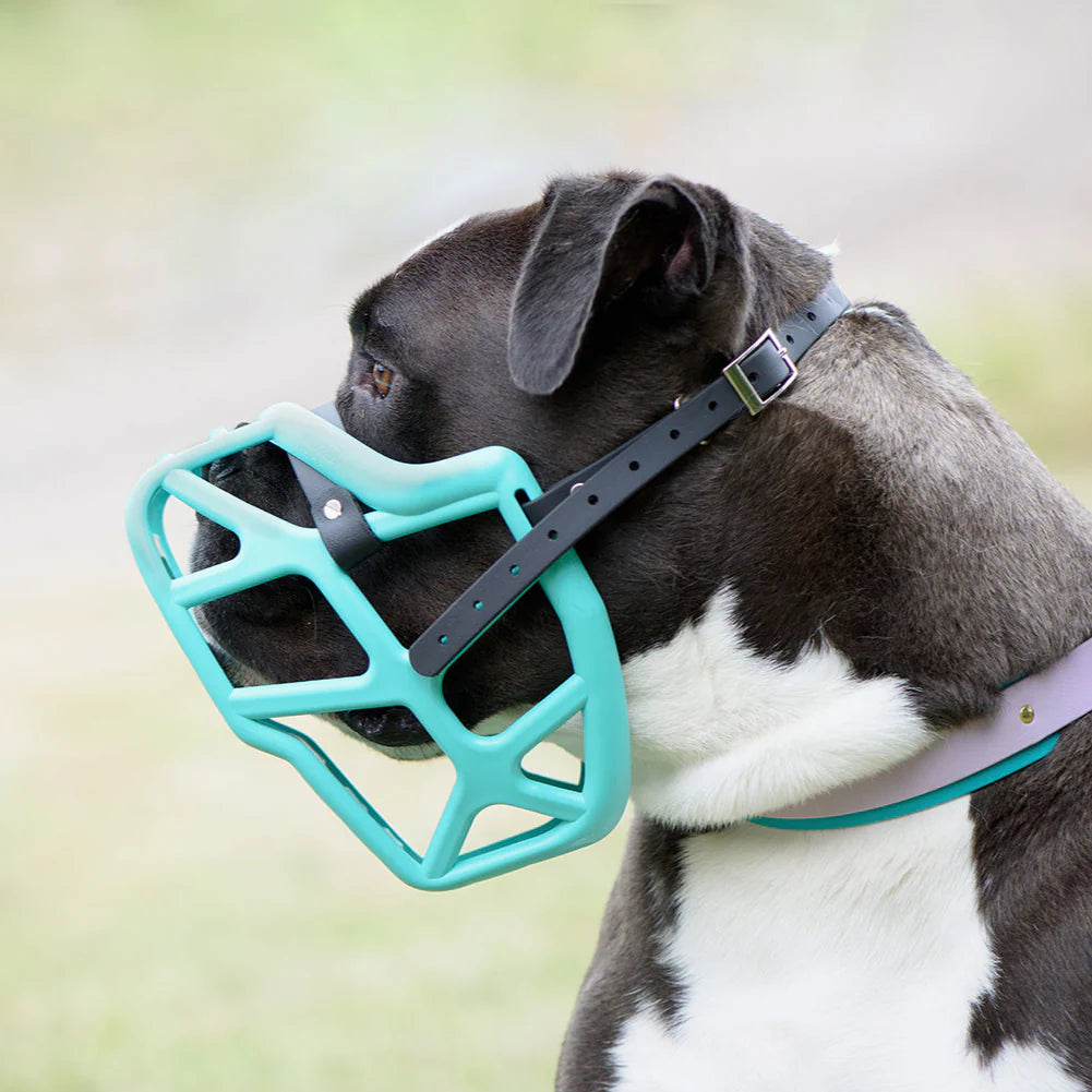 Mitzy Muzzle - Short & Wide Fit (Largest Size)