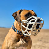 Harry Muzzle