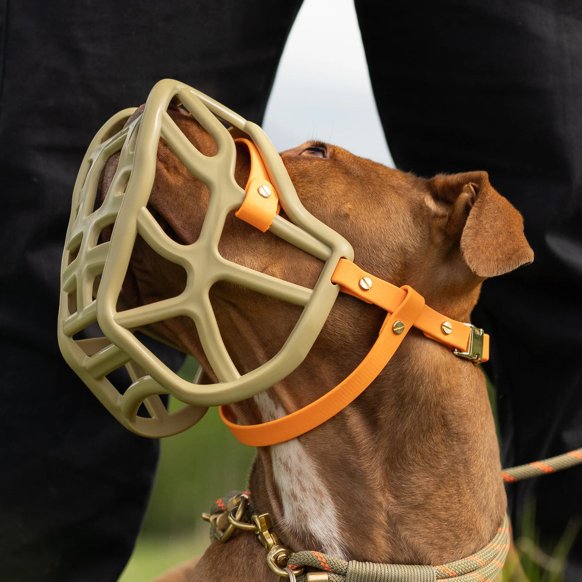 Biothane Chin Strap – Delta Canine