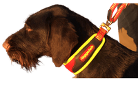 Niggeloh Blood Tracking Dog Collar Trail