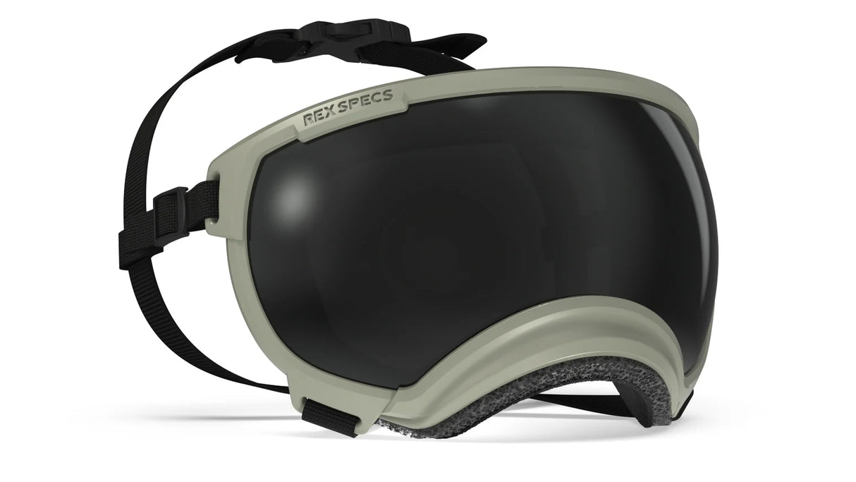 Rex Specs V2 Dog Goggles Large