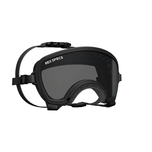 Rex Specs Small Wide Goggle Black only