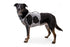Ruffwear Swamp Cooler Dog Harness