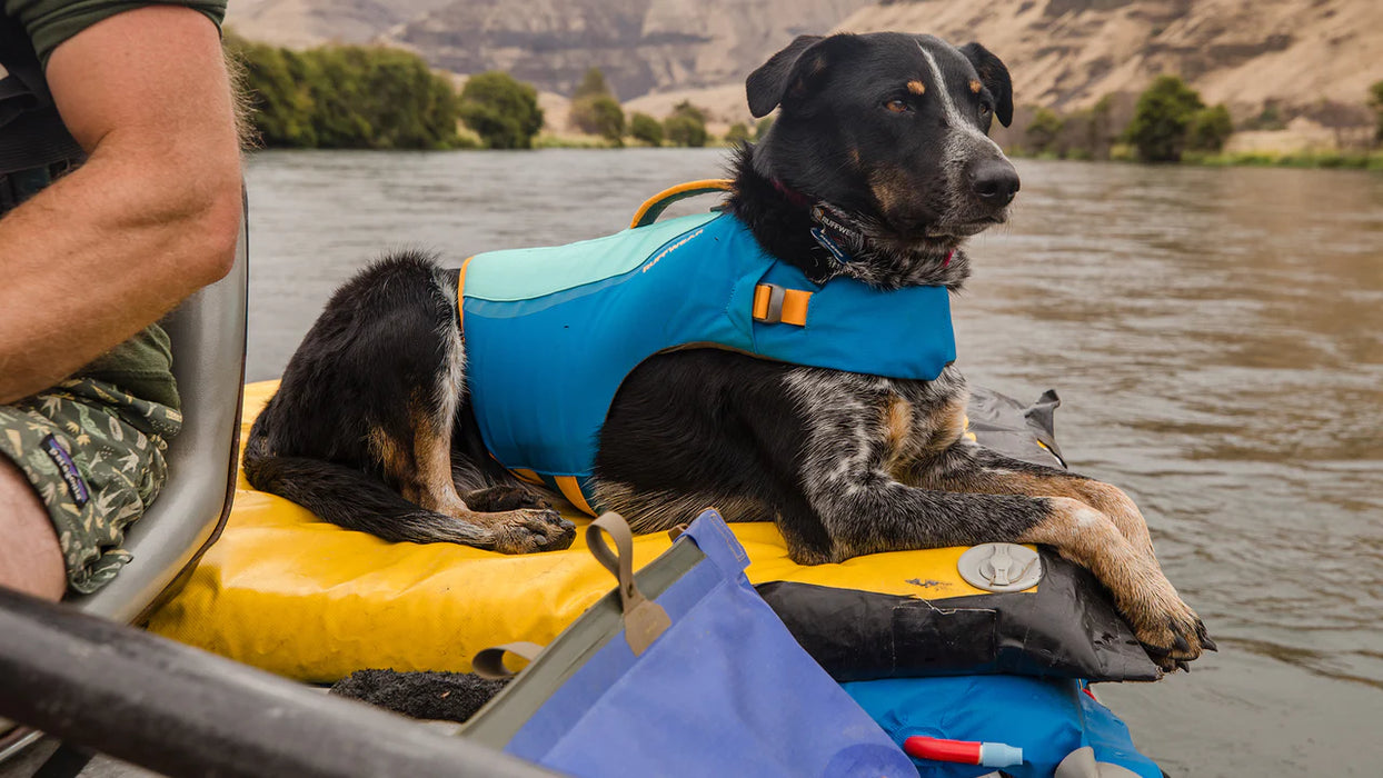 Ruffwear coat 2025