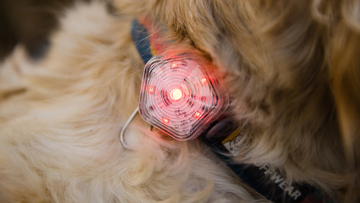 Ruffwear The Beacon Waterproof Light