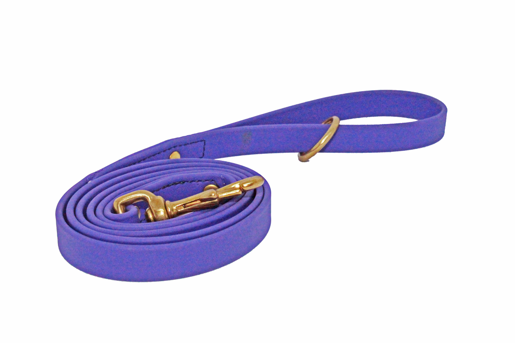 2.5 Meters Biothane Dog Lead Multiple colours and widths