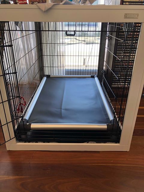 Kuranda Dog Bed Heavy Duty Raised Bed Delta Canine