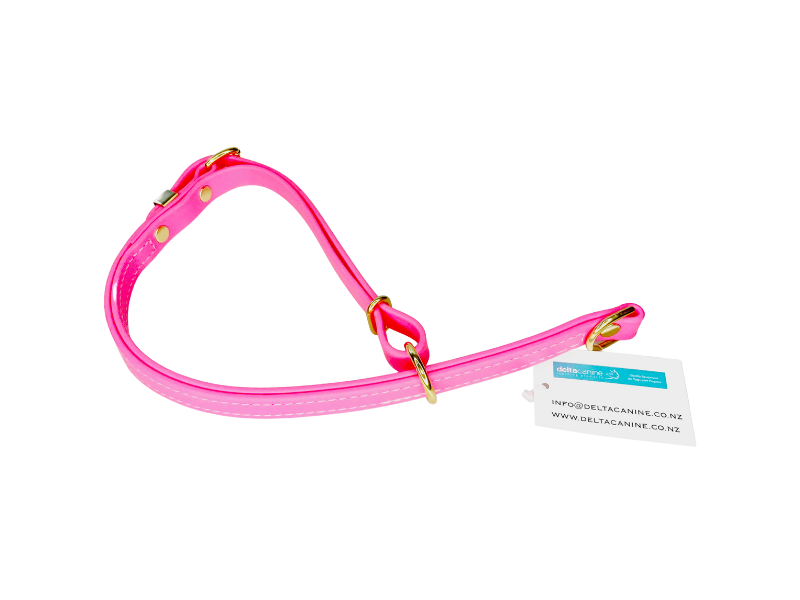 Biothane Slip Collar Multiple Colours