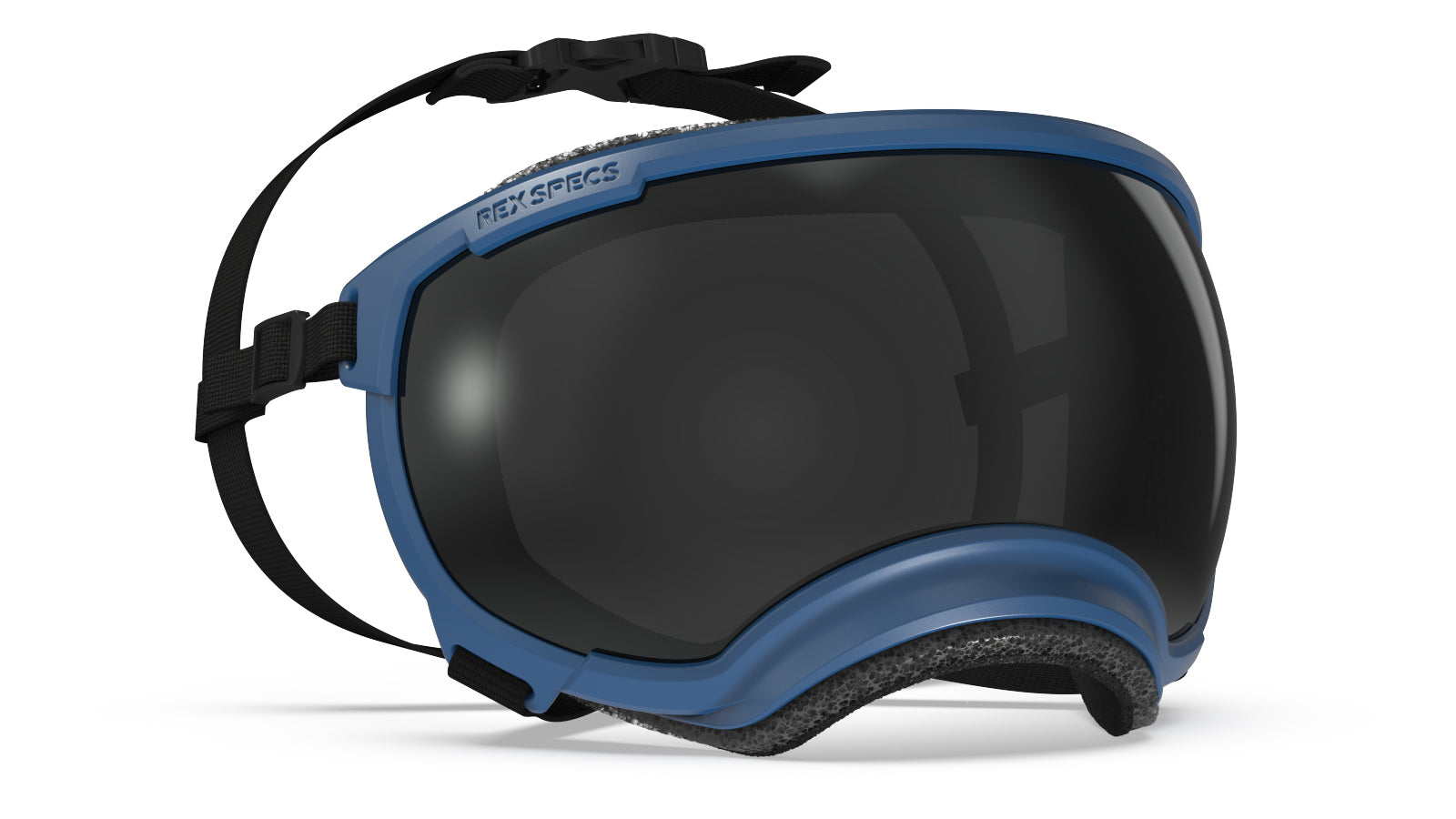 Rex Specs V2  Goggle Blue Frame