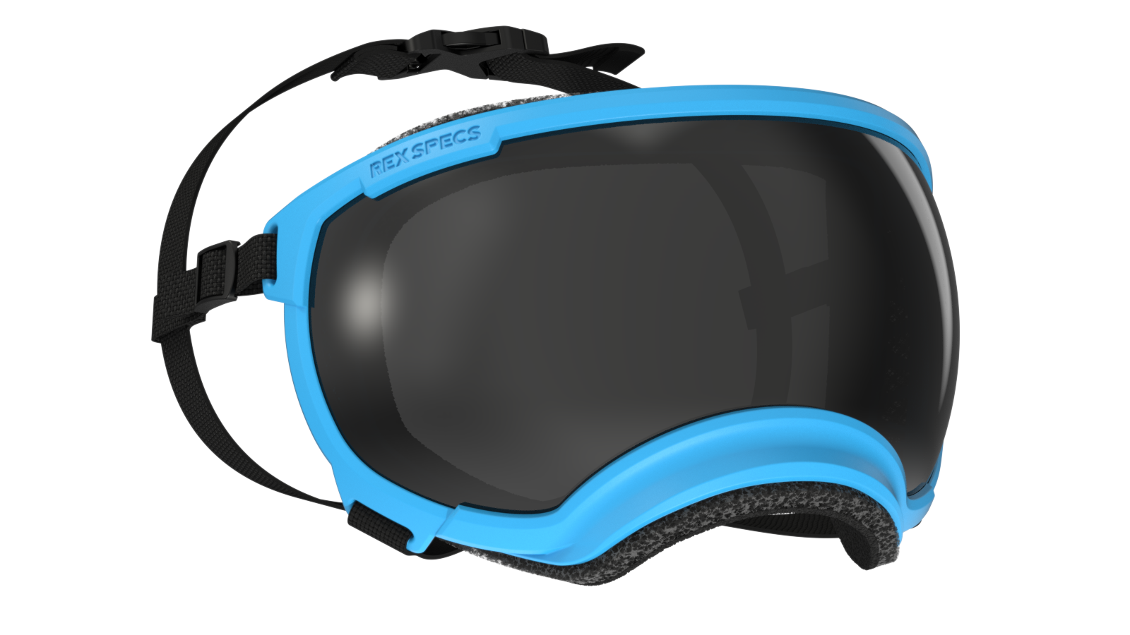 Rex Specs V2 Goggle Neon Blue Frame