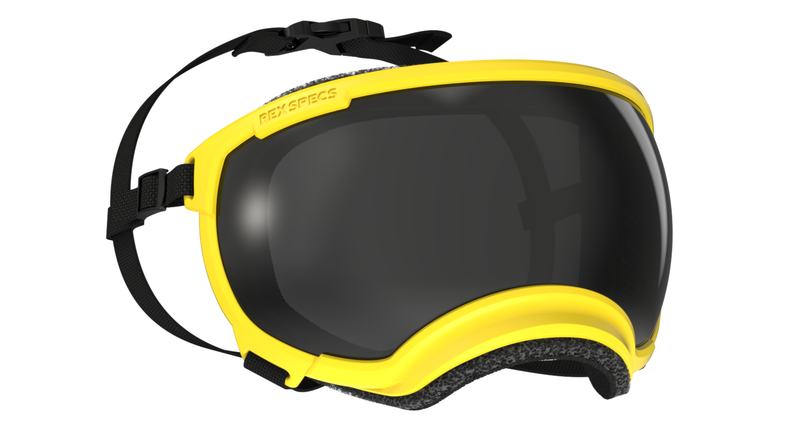 Rex Specs V2  Goggle  Neon Yellow  Frame