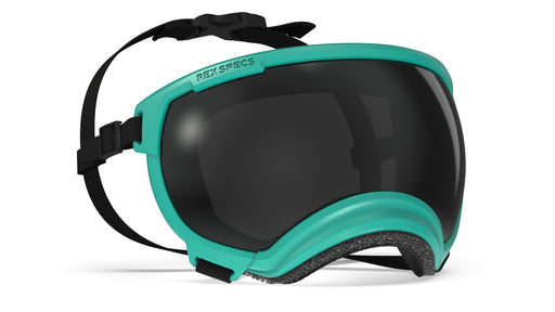Rex Specs V2  Goggle Teal Frame