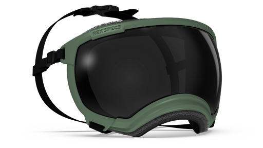Rex Specs V2  Goggle  Army Green  Frame