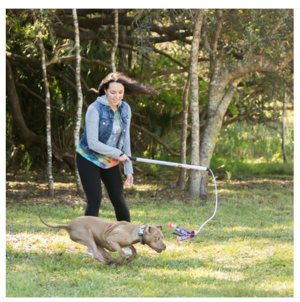 Best flirt pole for dogs online