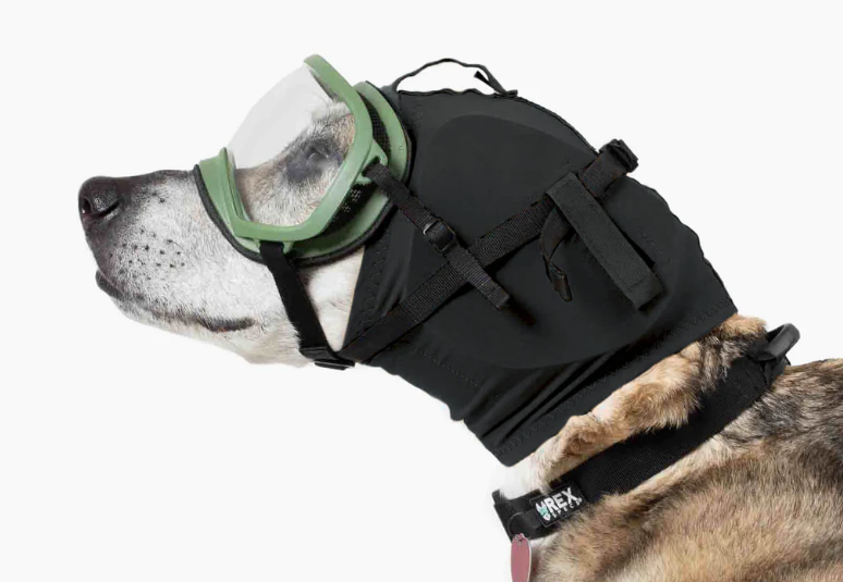 Rex Specs EAR PRO  Canine Hearing Protection