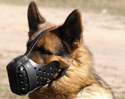 Leather Muzzle